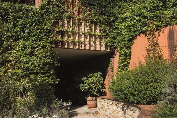 Oliveto Suites
