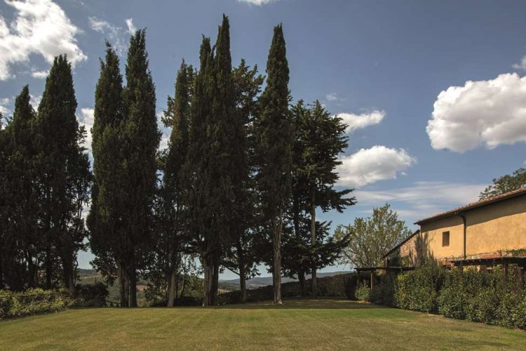 Limonaia Suite