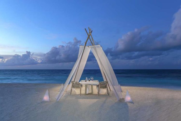 Dinning By Design