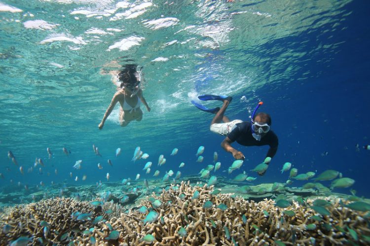 Snorkelling in The Lagoon