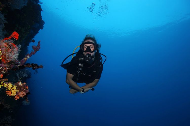 Diving on The House Reef