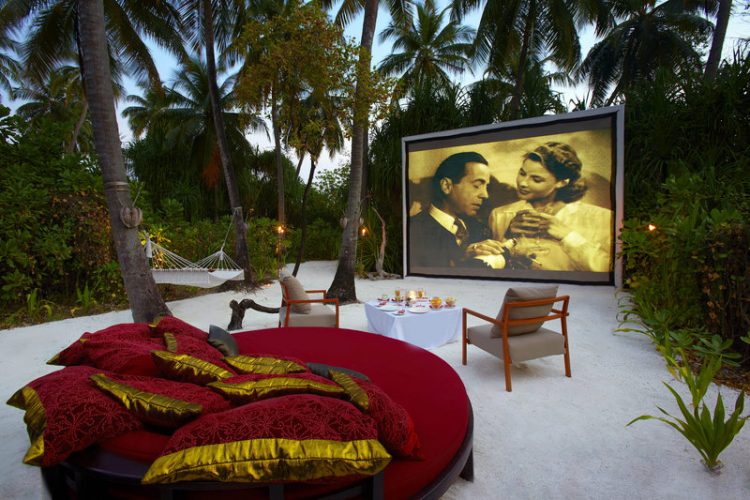 Cinema Under the Stars