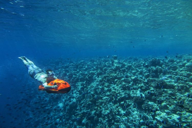 Water Sports Seabob